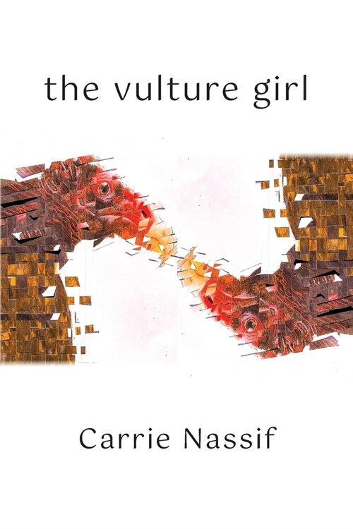 The Vulture Girl: Necessary and Sufficient Conditions (Paperback)