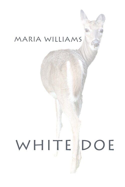 White Doe (Paperback)