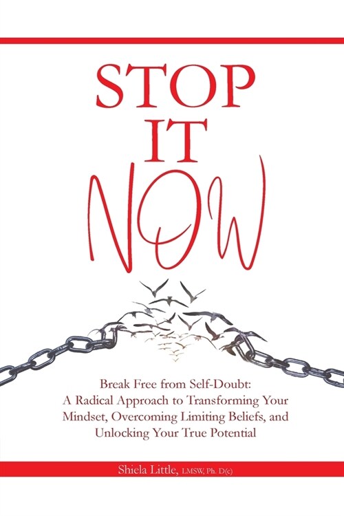 Stop It Now (Paperback)