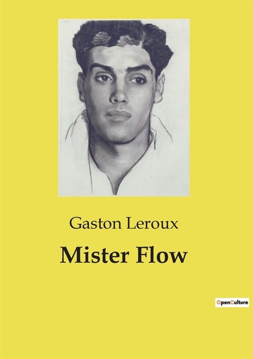 Mister Flow (Paperback)