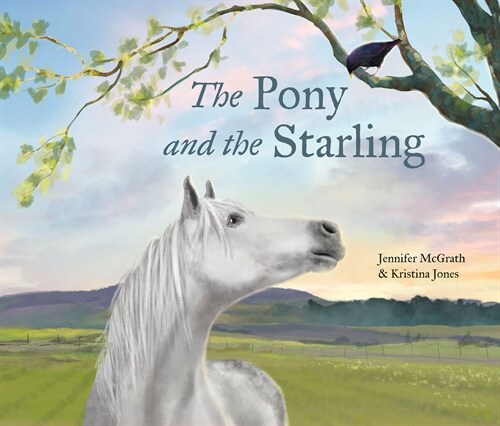 The Pony and the Starling (Hardcover)