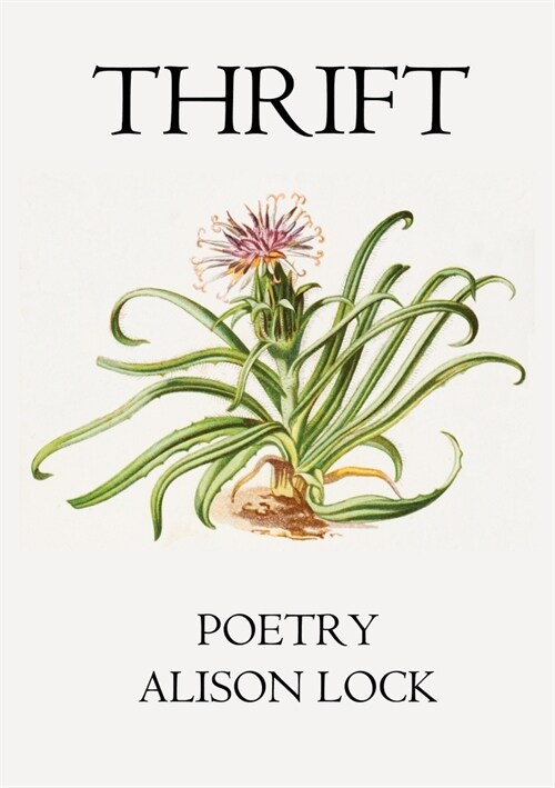 Thrift (Paperback)