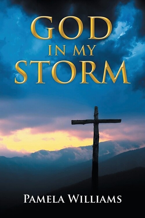 God In My Storm (Paperback)