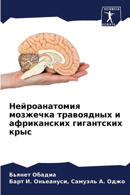Нейроанатомия мозжечка & (Paperback)