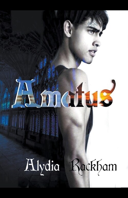 Amatus (Paperback)
