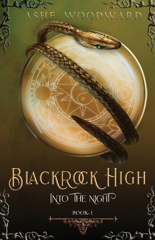 Blackrock High: Into the Night (The Blackrock High Trilogy: Book One) (Paperback)