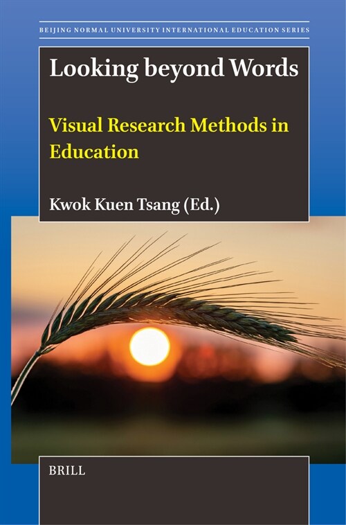 Looking Beyond Words: Visual Research Methods in Education (Paperback)