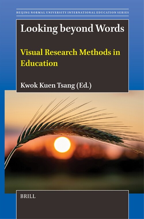 Looking Beyond Words: Visual Research Methods in Education (Hardcover)