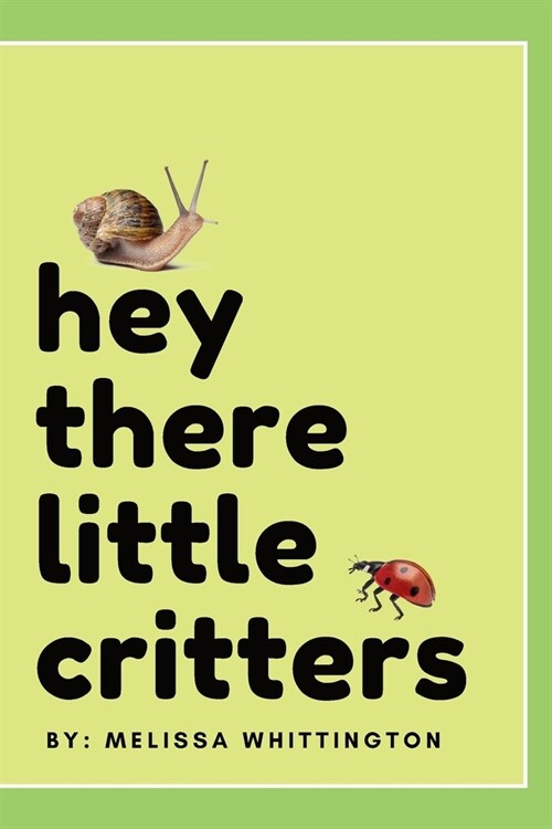 Hey There Little Critters (Paperback)