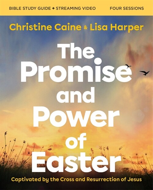 The Promise and Power of Easter Bible Study Guide Plus Streaming Video: Captivated by the Cross and Resurrection of Jesus (Paperback)