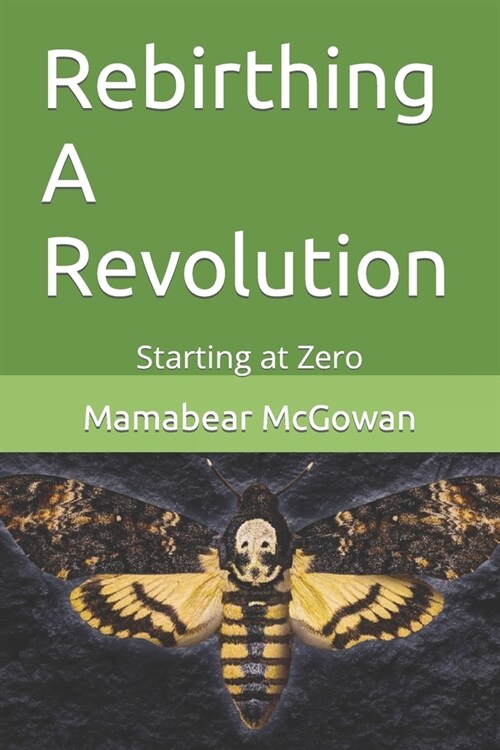 Rebirthing A Revolution: Starting at Zero (Paperback)