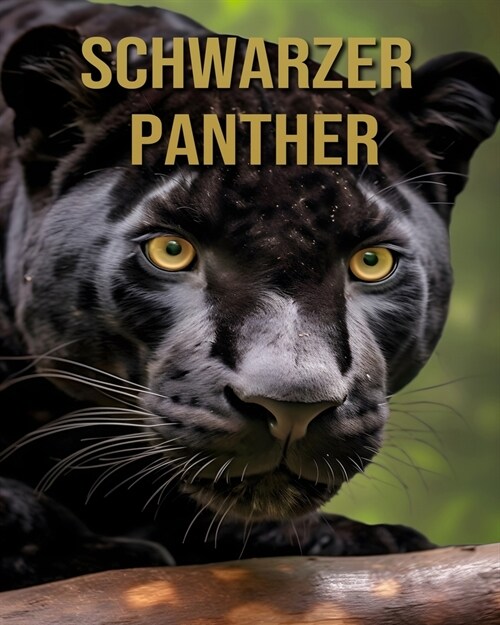 Schwarzer Panther: Sagenhafte Bilder und Fakten ?er Schwarzer Panther f? Kinder (Paperback)