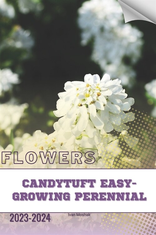 Candytuft Easy-Growing Perennial: Become flowers expert (Paperback)