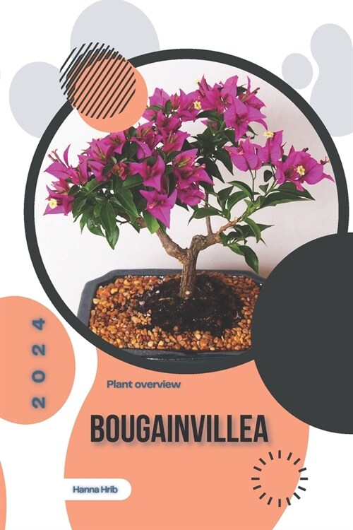 Bougainvillea: Simply beginners guide (Paperback)