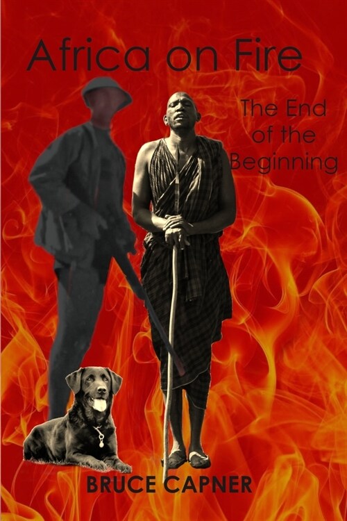 Africa on Fire: The End of the Beginning (Paperback)