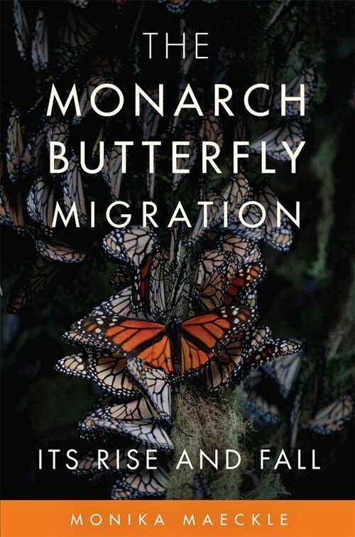 The Monarch Butterfly Migration: Its Rise and Fall (Hardcover)