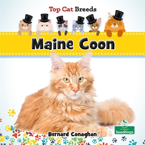 Maine Coon (Hardcover)