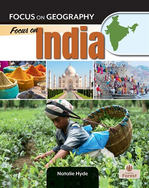 Focus on India (Hardcover)
