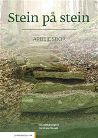 Stein pa stein. Arbeidsbok