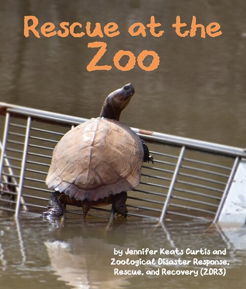 Rescue at the Zoo (Paperback)