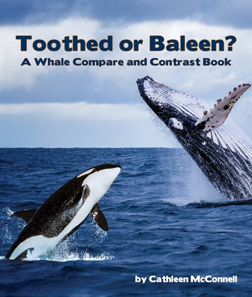 Toothed or Baleen? a Whale Compare and Contrast Book (Paperback)