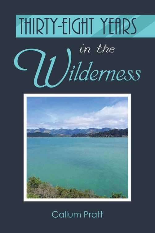 Thirty-eight Years in the Wilderness (Paperback)