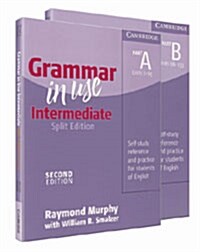 Grammar in Use Intermediate : Split Edition Part A + Split Edition Part B (Paperback, Second Edition)