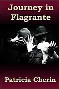 Journey in Flagrante (Paperback)