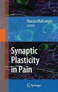 Synaptic Plasticity in Pain (Hardcover, 2009)