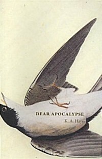 Dear Apocalypse (Paperback)