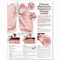Chronic Obstructive Pulmonary Disease Anatomical Chart (Other, 2)