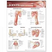 Joints of the Upper Extremities Anatomical Chart (Other)