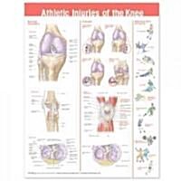 Athletic Injuries of the Knee Anatomical Chart (Other)
