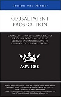 Global Patent Prosecution (Paperback)