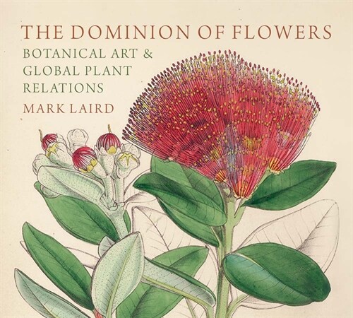 The Dominion of Flowers : Botanical Art and Global Plant Relations (Hardcover)