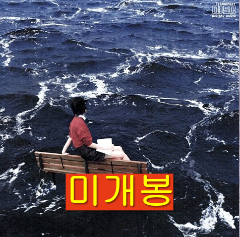 [중고] 새소년 - EP 2집 비적응