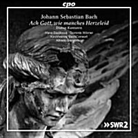 [수입] Alfredo Bernardini - 바흐: 대화 칸타타집 (Bach: Dialog - Cantatas)(CD)