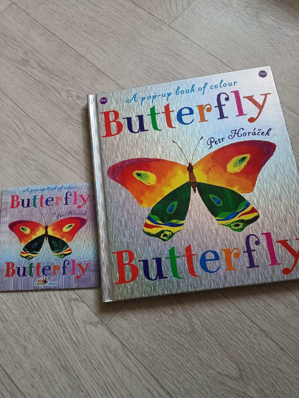 [중고] Butterfly (Hardcover, Pop-up Book)