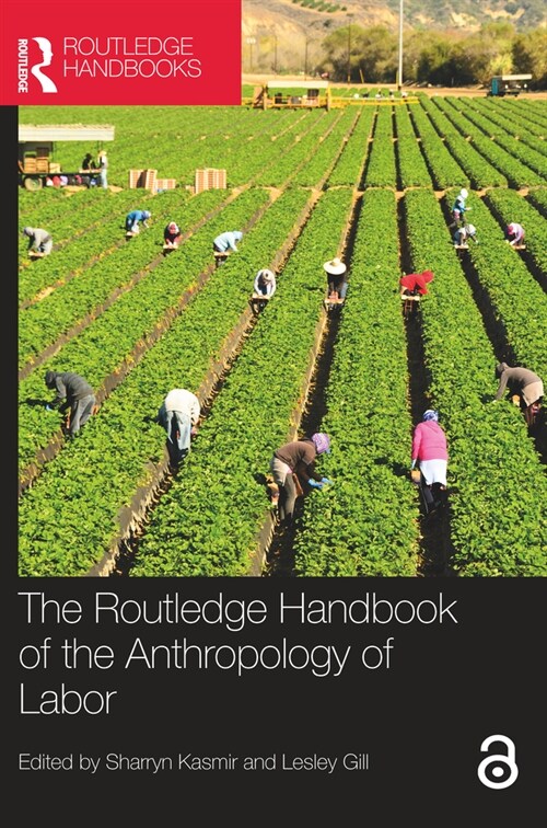 The Routledge Handbook of the Anthropology of Labor (Paperback, 1)