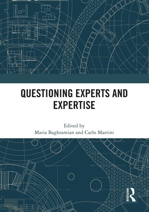Questioning Experts and Expertise (Paperback, 1)