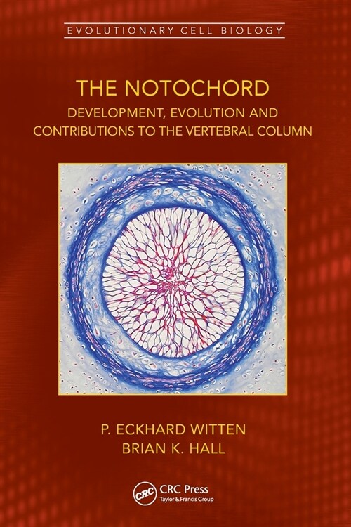 The Notochord : Development, Evolution and contributions to the vertebral column (Paperback)