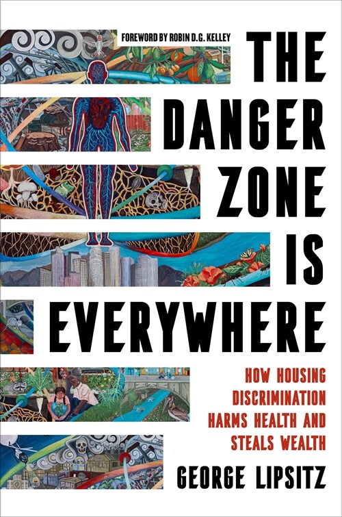 The Danger Zone Is Everywhere: How Housing Discrimination Harms Health and Steals Wealth Volume 73 (Paperback)