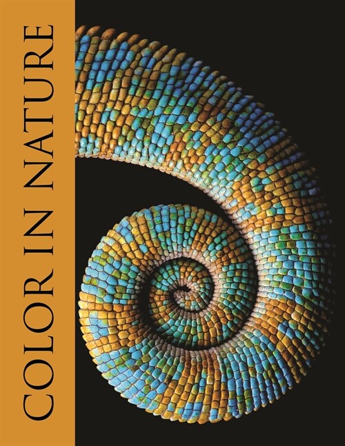 Color in Nature (Hardcover)