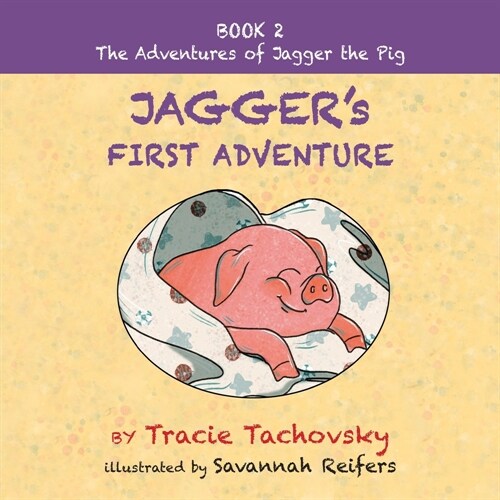 Jaggers First Adventure: Book 2 (Paperback)