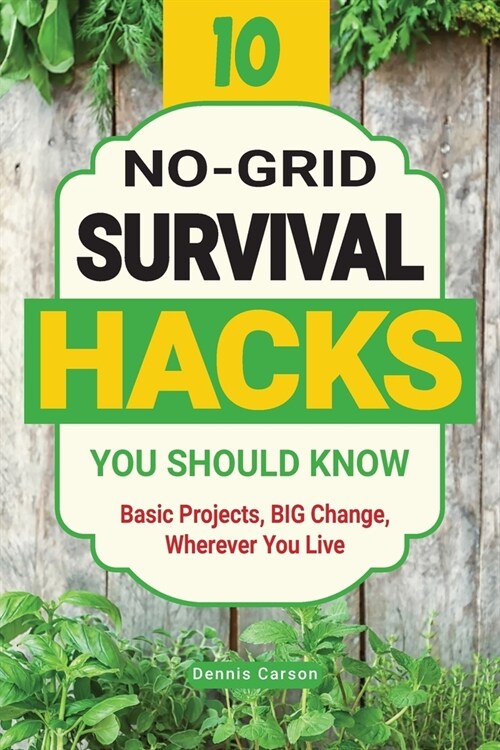10 No-Grid Survival Hacks You Should Know: Basic Projects, BIG Change, Wherever You Live (Paperback)