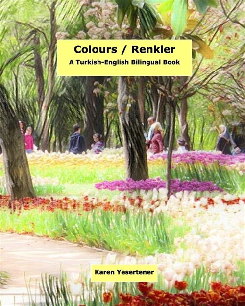 Colours / Renkler: A Turkish English Bilingual Book (Paperback)