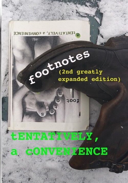 footnotes (2nd greatly expanded edition) (Paperback)