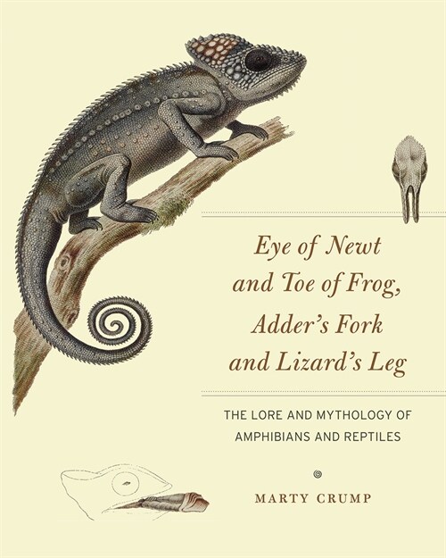 Eye of Newt and Toe of Frog, Adders Fork and Lizards Leg: The Lore and Mythology of Amphibians and Reptiles (Paperback)