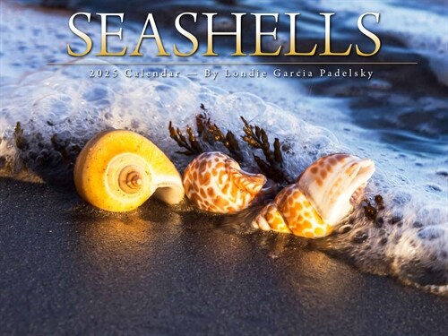 Cal- Seashells (Wall)