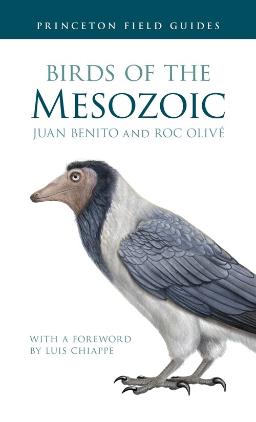 Birds of the Mesozoic (Paperback)